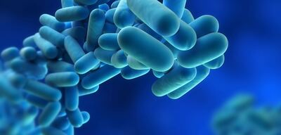 Batterio Legionella 